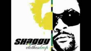 Shaggy ft. will.i.am - Shut up and dance