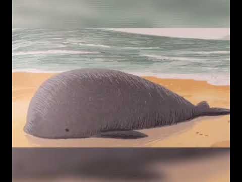 "La balena della tempesta"