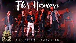Alta Consigna - Cruzando Cerros y Arroyos ft. Banda Coloso (En Vivo)
