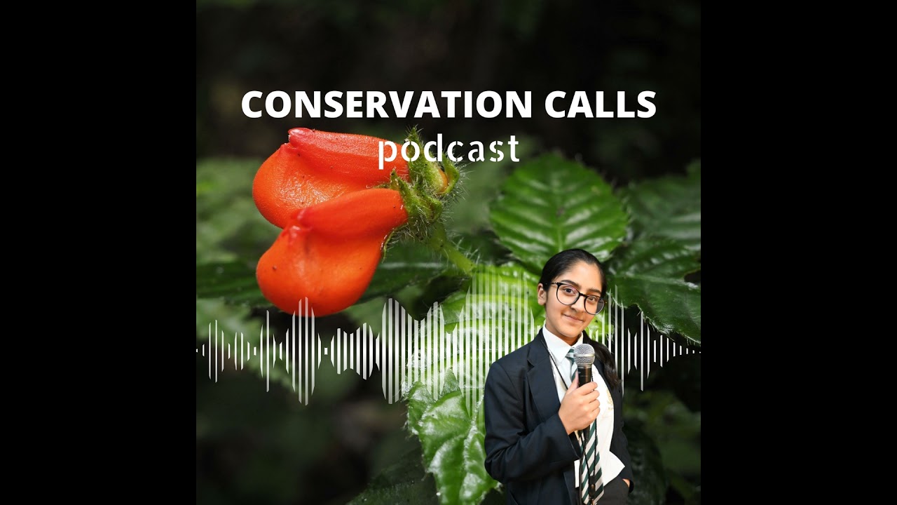 The Last Bloom: The Story of Ecuador's Wildflower Wonder