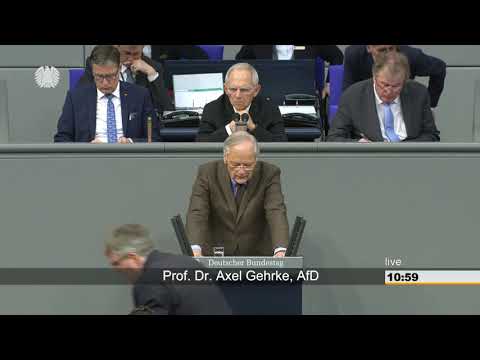 AKTUELL : REDE PROF. DR. AXEL GEHRKE ( AFD ) AM 17.JANUAR IM DEUTSCHEN BUNDESTAG IN BERLIN.