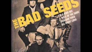 The Bad Seeds - All Night Long