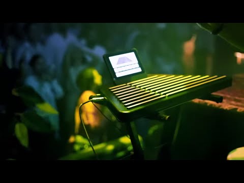 Seven Ponds Live from Vancouver | Sina Bathaie