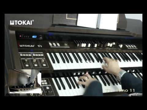 Tokai T1 - Hino 11 CCB