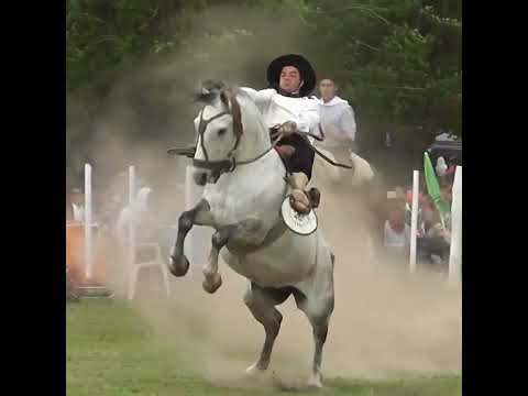 Monta en basto unos tiros TREMENDOS en Colonia Mascias Santa Fe