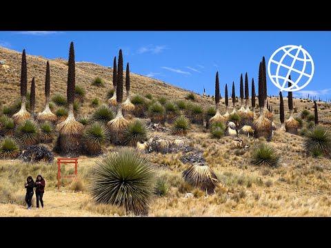 Huascaran National Park, Peru  [Amazing Places 4K]