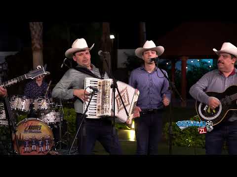 Los Belicos De Culiacan Ft. Alfonso Payan y Asociados - El Calladito (En Vivo 2023)