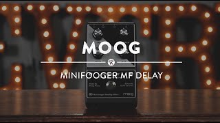 Video thumbnail for Moog MF-Delay vs MF-104M | Reverb Video Demo by Reverb