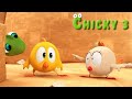 Where S Chicky Funny Chicky 2023 BE CAREFULL CHICKY Cartoon In English For Kids New Episodes