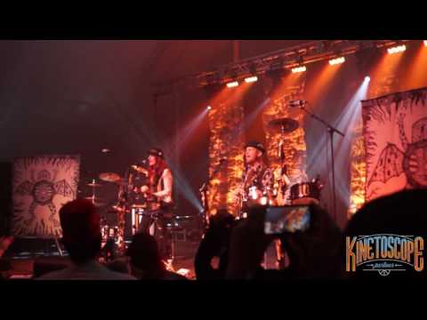 Frenchy and the Punk perform Don't Fear the Rabbit