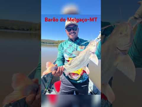 Pescaria em Barão de Melgaço-MT #pescaria #barcopesqueiro #pesca #pescaesportiva #peixe #fishing