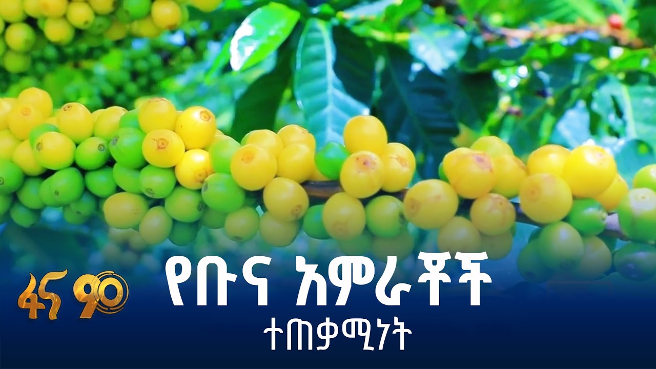 የሽያጭ ዋጋ መሻሻሉ ጠቅሞናል