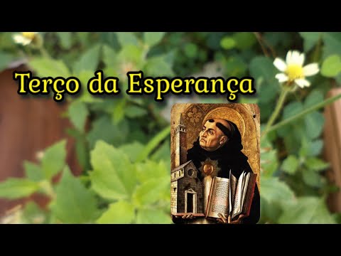 Terço da Esperança (com São Tomás de Aquino)- 11/11/25