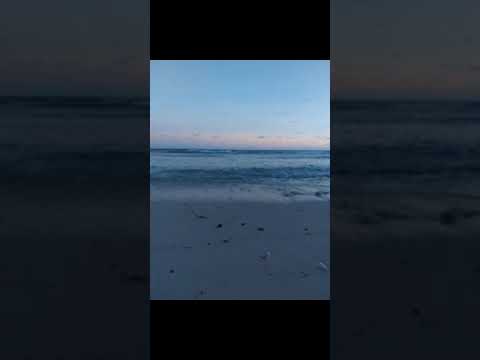 Hasula Cover (Kiribati) by T-TROY AND TEMZQUAK prod by ELIJAH L