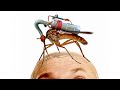 https://www.youtube.com/watch?v=iY6QuTH6nSg