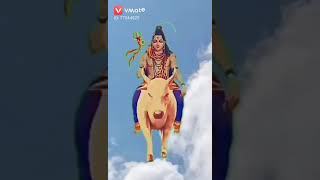 Download lagu Mara  bola  ha   dandari mp3