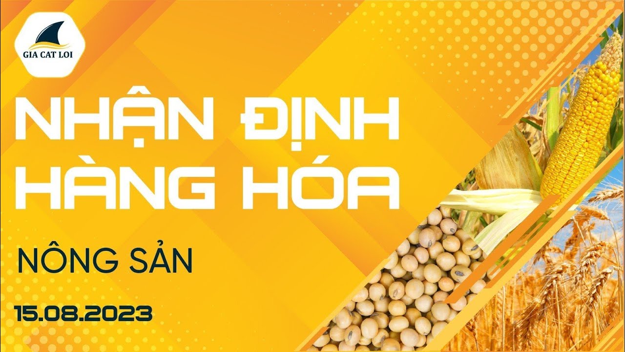 Nhận Định Hàng Hoá Nông Sản Ngày 15/08/2023