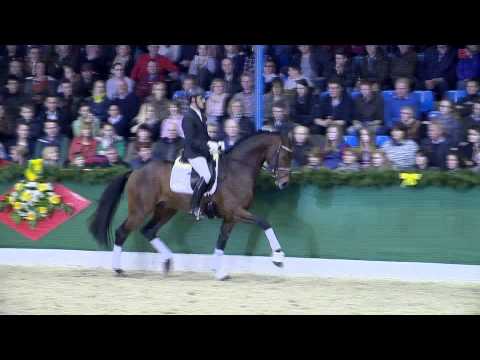 Radisson v. Rock Forever I - Sevillano xx / Hengstvorführung Vechta 2015 / Böckmann Pferde