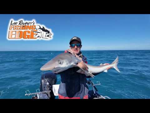 Reef Edges & Wrasse = Gummy & School Sharks Offshore