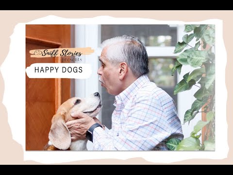Happy pet's videoshoot