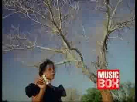 dama do bling-chamadas para bling