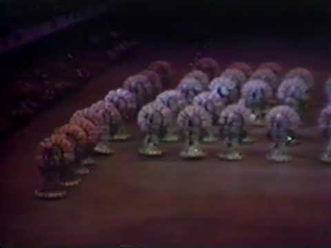 1983 South Philadelphia String Band - Convention Hall