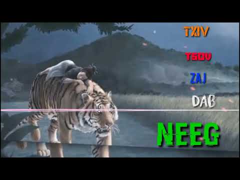 Txiv tsov zaj dab neeg Rap hmoob dab neeg@teejthojofficial2481