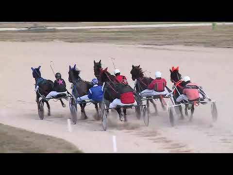 2023.02.25. 01. futam - CINEMA HENDIKEP