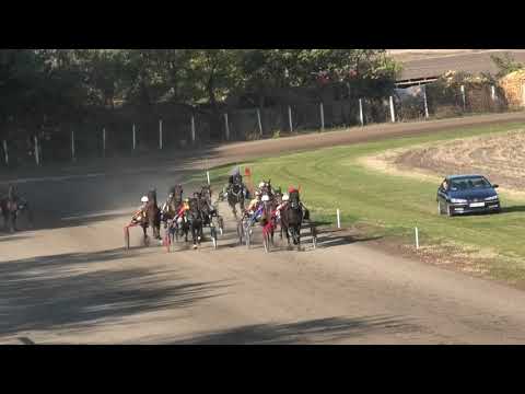 Trka "IV kasačka trka" 31.10.2021 Dasty S.G. - Saša Grujić