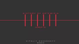 History of Artemisia - Junkie XL (Vitaliy Zavadskyy Remix)
