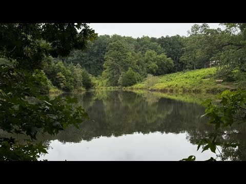 Escursione al Monarch Meadow & Pond Loop 🦋 Annie Louise Wilkerson MD Nature Preserve Park Raleigh NC