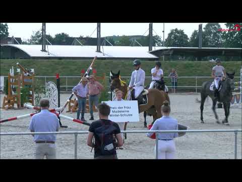 Starrico - Hannoveraner Champion 2020