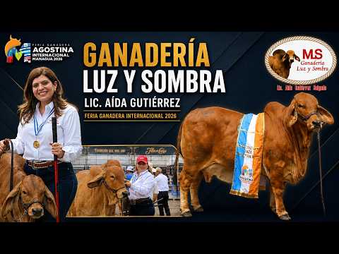 Estos son los logros de Luz y Sombra en la Feria Internacional 2026🥇🏆