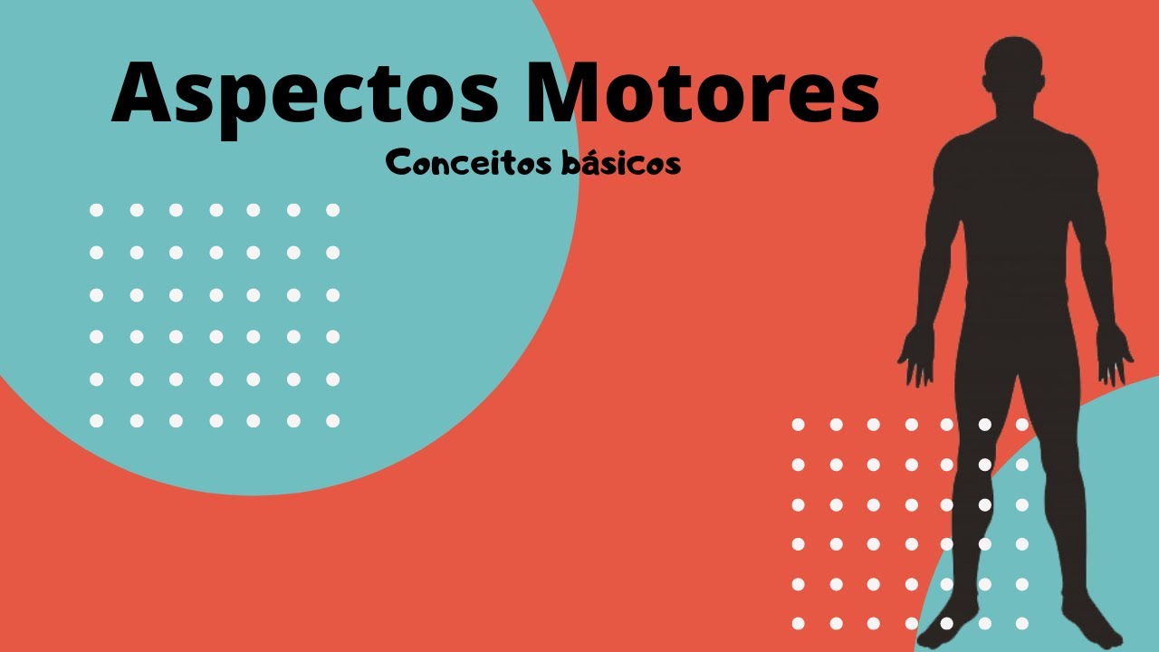 Aspectos motores - conceitos básicos