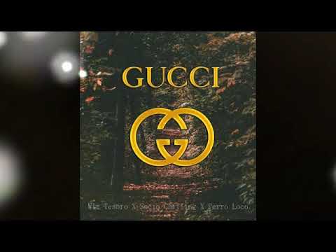 Gucci - Wiz Tesoro ❌ Socio Chilling ❌ Perro Loco  😈 🔥