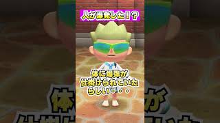 人がいきなり爆発した！？[あつまれどうぶつの森]