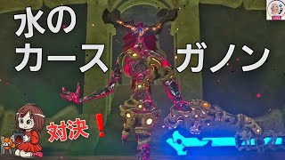 【ゼルダの伝説】#10 神獣ヴァルッタ攻略中☆完全初見！みまちいのブレワイ実況【ブレスオブザワイルド】