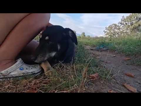 Xandria Update #1   Hope for Future