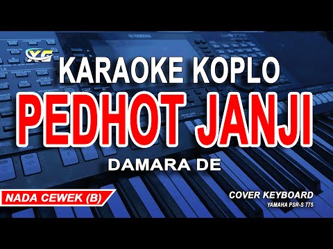 Damara De - Pedhot Janji Karaoke Koplo (Nada Wanita)