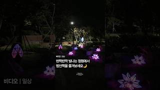 반짝반짝 빛나는 정원에서 밤산책을 즐겨보세요 | ...