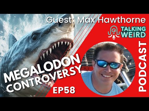 Megalodon Controversy with Max Hawthorne | Talking Weird #58