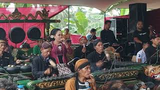 Download lagu ELING ELING BANYUMASAN EBEG PANAMA BUDAYA mp3