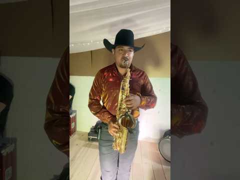 El Hindú #saxplayer #envivo #huapangos #merequetengue #saxnorteño #regionalmx #clasicas #saxloco