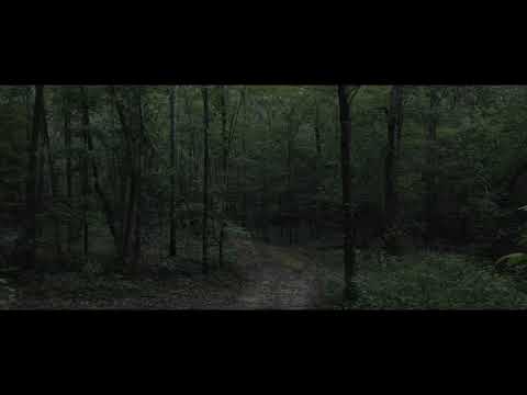 Dark Woods - Drone Footage