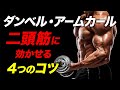 【筋トレ】ダンベル・アームカールで上腕二頭筋に効かせる4つのコツ | 現役ボディビルダーが解説【ビーレジェンド プロテイン】