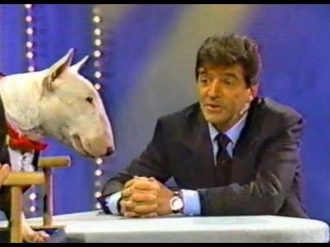 SPUDS MacKENZIE LIVE on Tom Dreesen Show - Chicago TV 1988