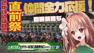 【同時視聴も】さがけいばBC直前祭！【ダビスタ】