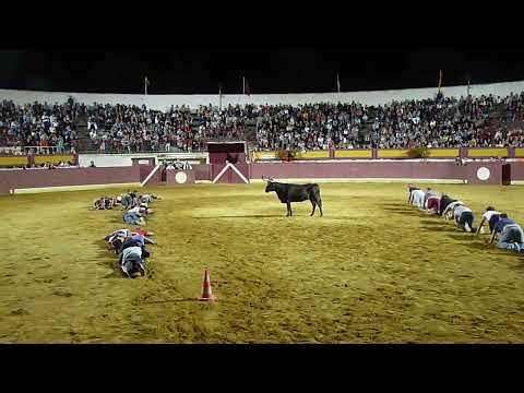 Men Participate in Crawling Race Across Bullfighting Arena
