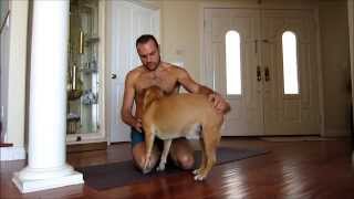 Bloopers from the Dragon Flag video