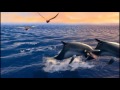 Finding Nemo Serial Communication